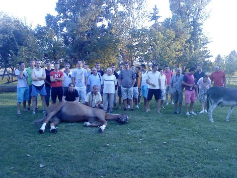 dsc00706.jpg