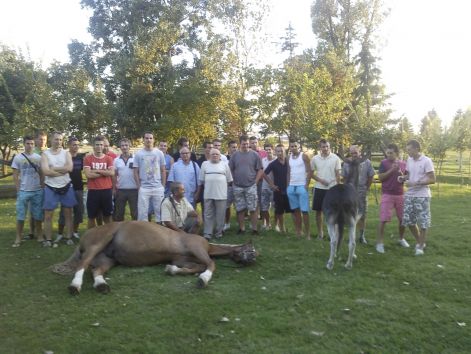 fenykep0315.jpg